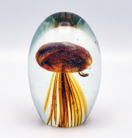 O4HOME + Jellyfish, donker bruin S